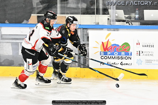 2025-02-08 Mastini Varese-Hockey Caldaro 1075 Dylan Ghiglione